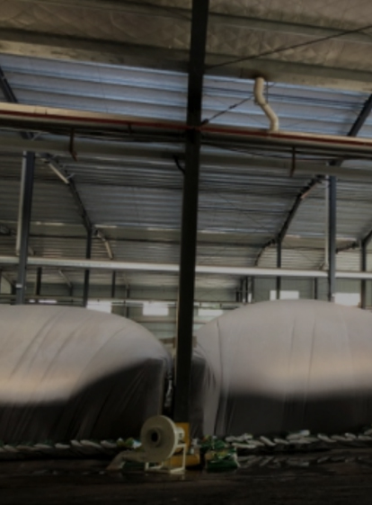 BG大游集团(中国)唯一官方网站